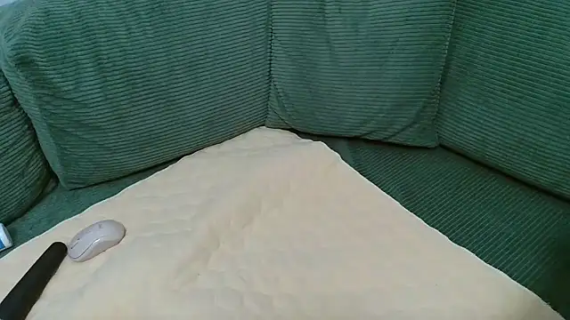 __ADA__'s cam snapshot