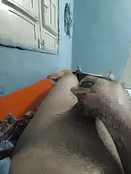 macholeiiteiro's cam snapshot