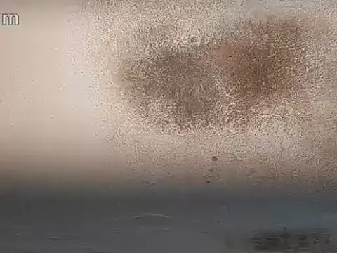 Anal_Destroyer_Alpha_Male's cam snapshot