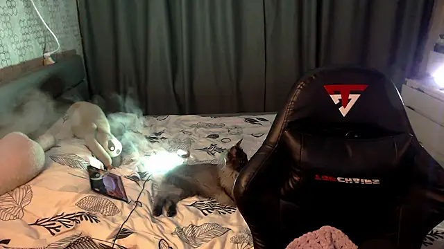 KiraYammy live sex cam