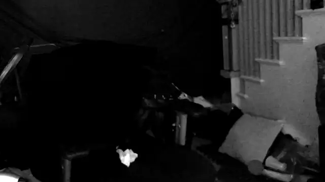 MasterDaddyCool live sex cam