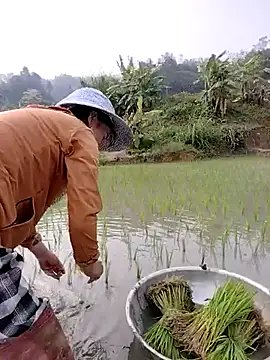 Tin_tanny live sex cam