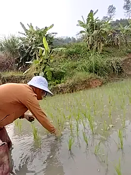 Tin_tanny's cam snapshot