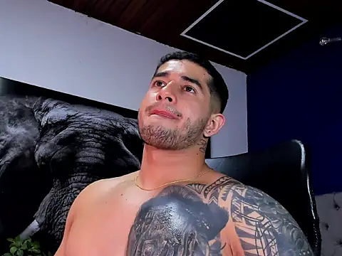 king_falconer's cam snapshot