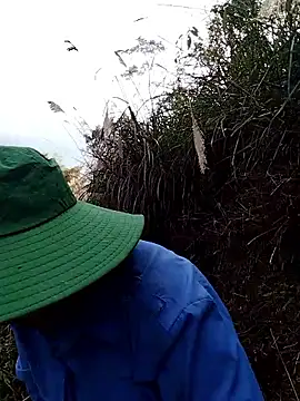 alycen's cam snapshot