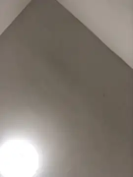 bellastormi_'s cam snapshot