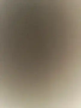 sexback11's cam snapshot