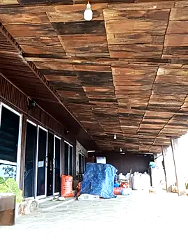 may-squirl's cam snapshot