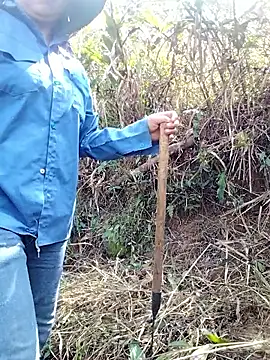 alycen's cam snapshot