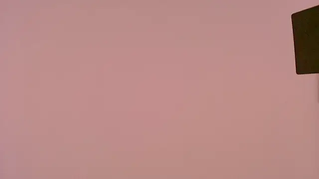 ArianaReynoldss's cam snapshot