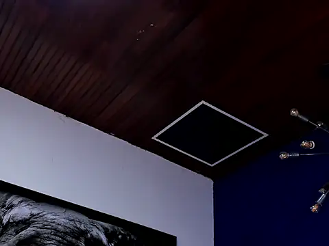 king_falconer's cam snapshot