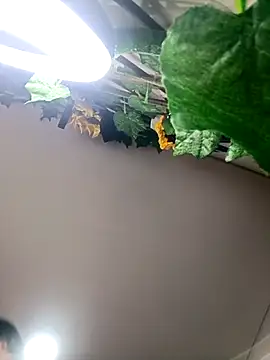 Sol_Sunny live sex cam