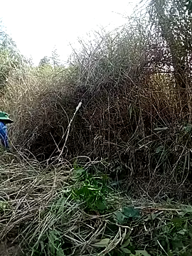 alycen's cam snapshot