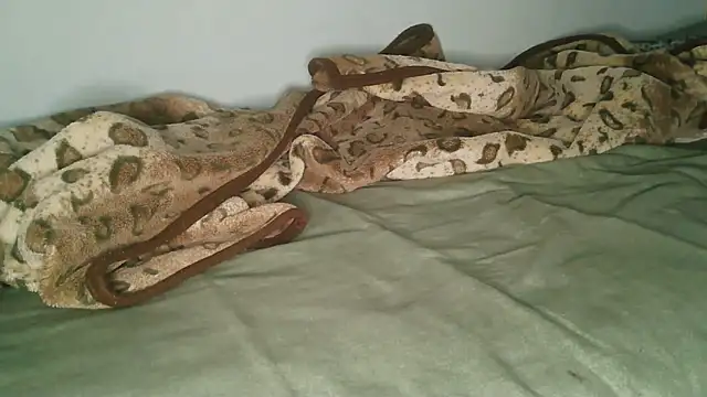 Horny208 live sex cam