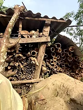 kibennet's cam snapshot