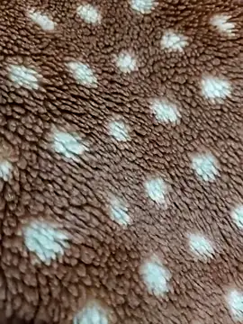 Bigdick_pedro's cam snapshot