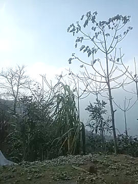 cutebobi's cam snapshot