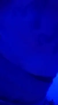 alphacloudGod's cam snapshot