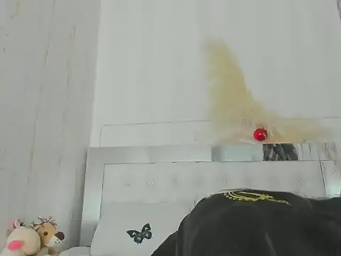 BulmaStar's cam snapshot