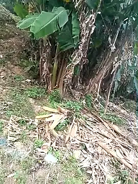 sully2k5's cam snapshot