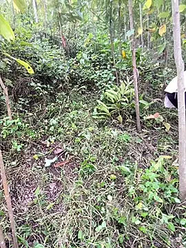 mana-ala's cam snapshot