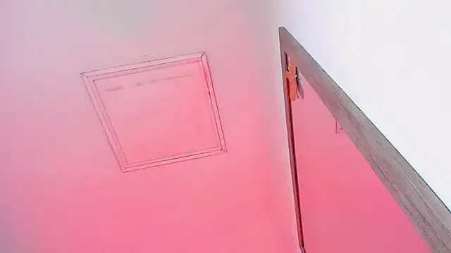 Tyler_durten live sex cam