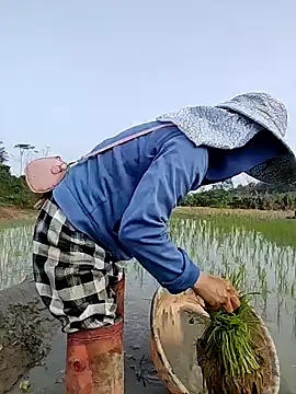 Tin_tanny's cam snapshot