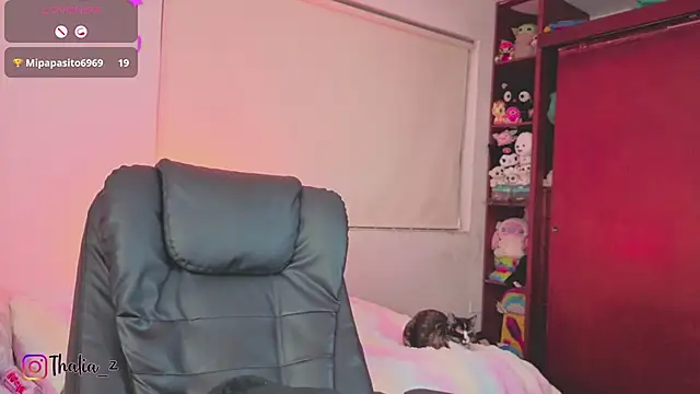 Laurent-Glass's cam snapshot