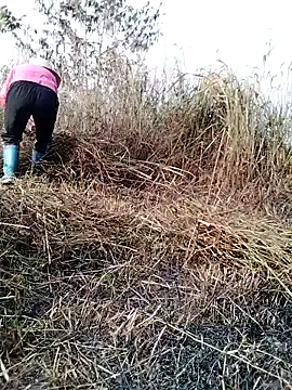 galaxy898's cam snapshot