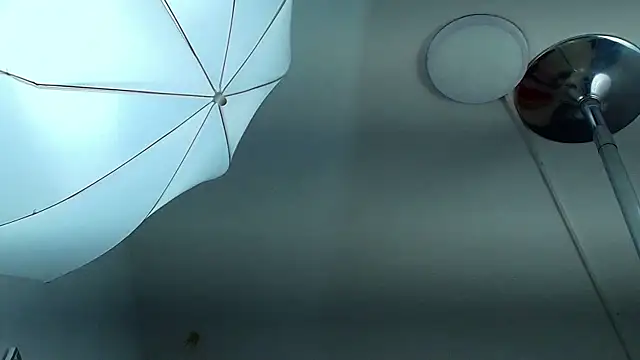 Erick_Zhimerman's cam snapshot