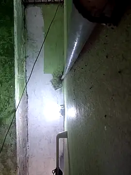 124pakhi live sex cam