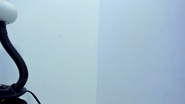 Priscila_Bell's cam snapshot