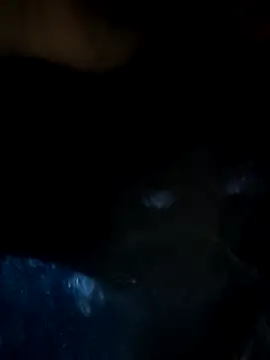 Koziekylie's cam snapshot