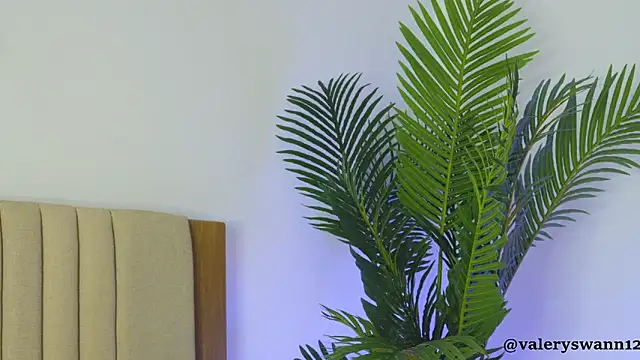 Valery_Swan1's cam snapshot