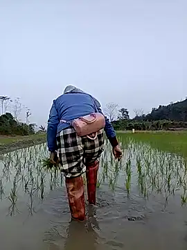 Tin_tanny's cam snapshot