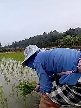 Tin_tanny's cam snapshot