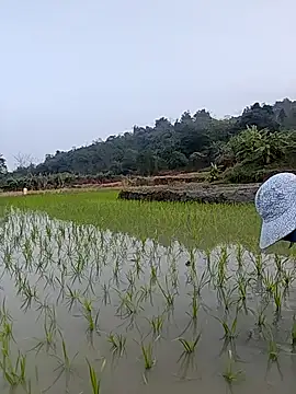 Tin_tanny's cam snapshot