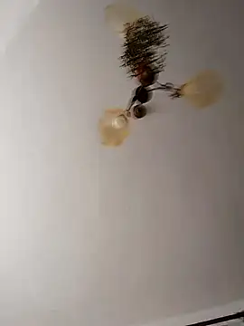 Lisak951 live sex cam