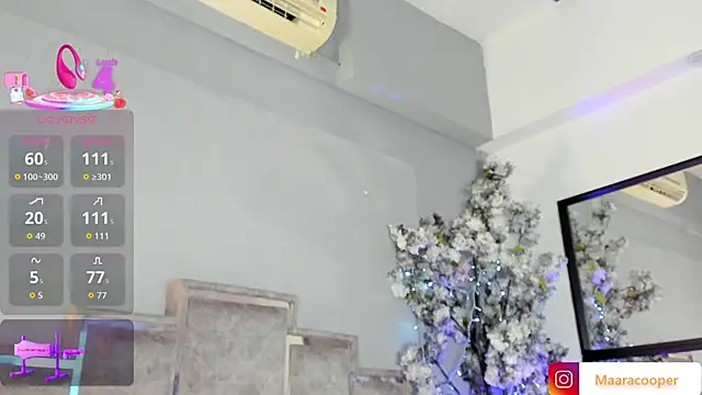 Maaracooper's cam snapshot