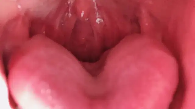 LT-333's cam snapshot