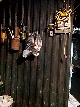 doggy-00's cam snapshot