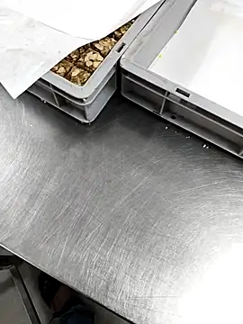 anjali_babydoll's cam snapshot