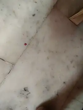 Chennaikilpauk32's cam snapshot