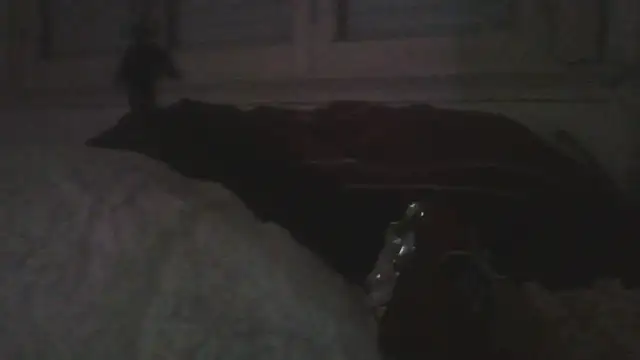 Darkytah's cam snapshot