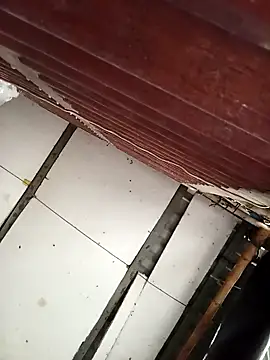 Lin-kute98's cam snapshot