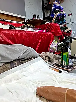 zasmin3's cam snapshot