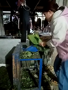 nangmo's cam snapshot