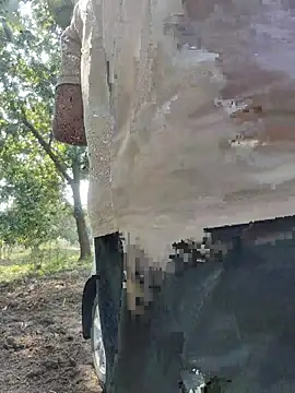 smgrtamil's cam snapshot