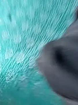 MilfLoverBoy2K25's cam snapshot