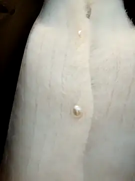 Ori-Lynk's cam snapshot